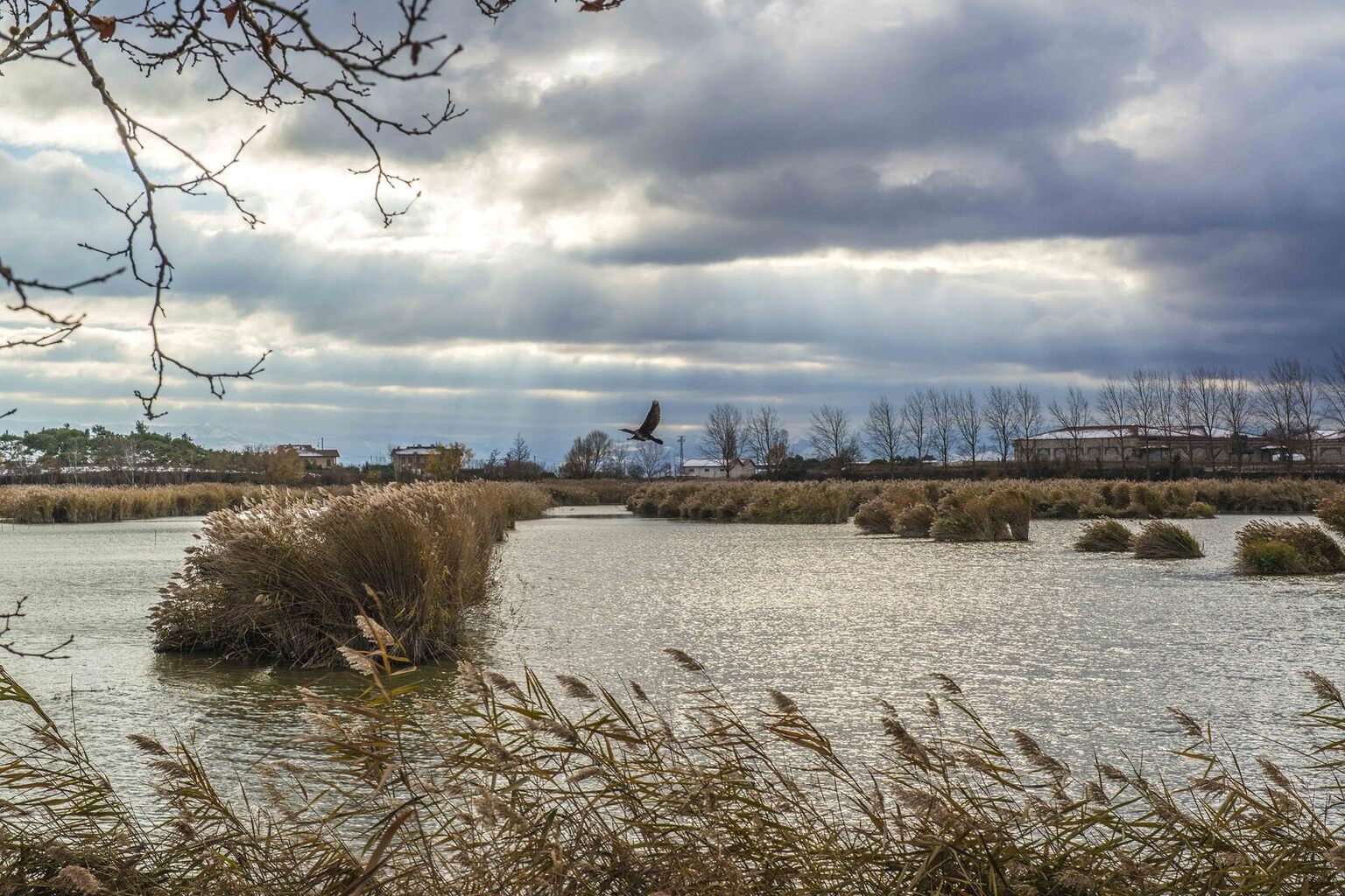Embalse de 
