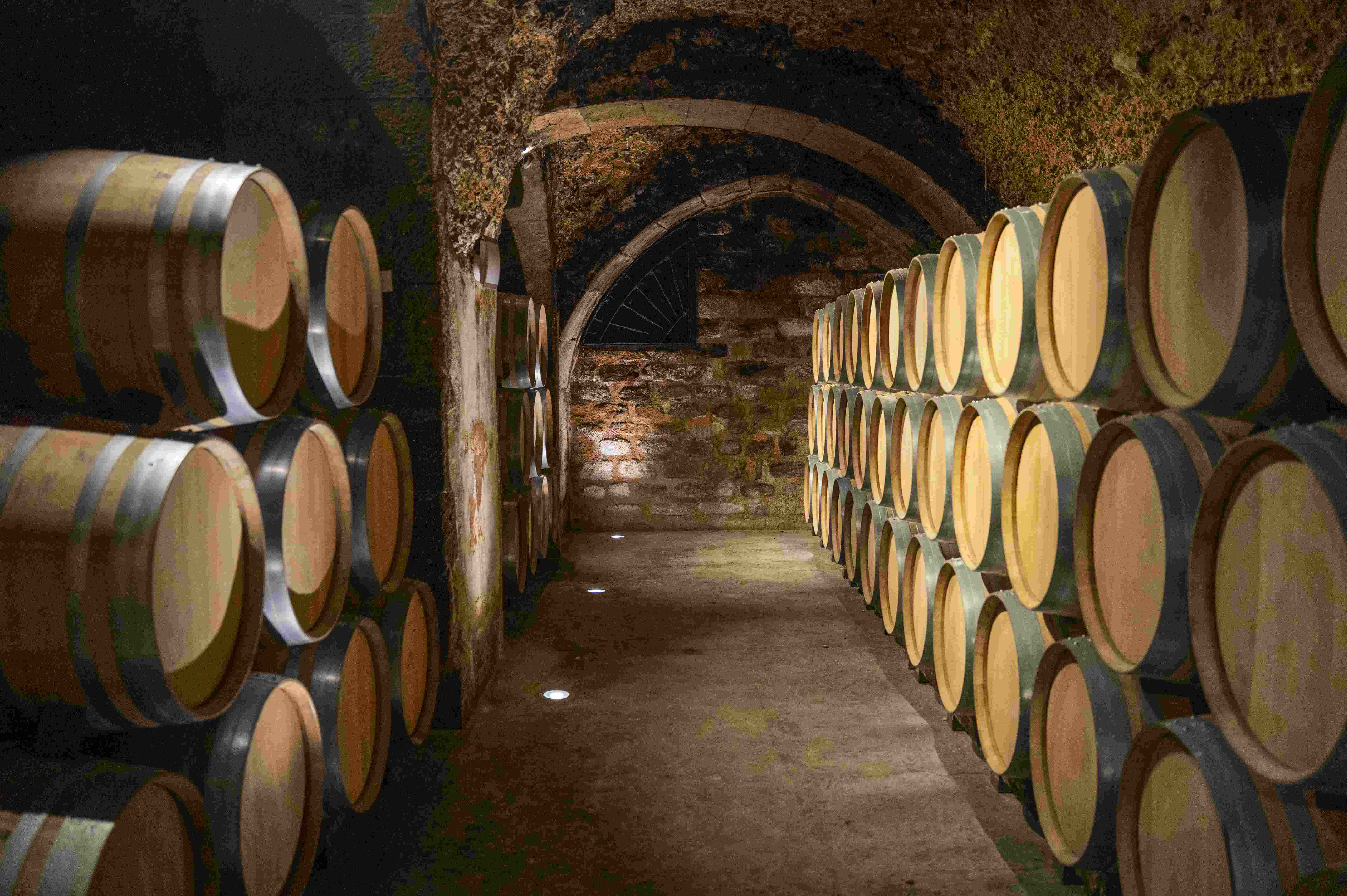 BODEGAS
